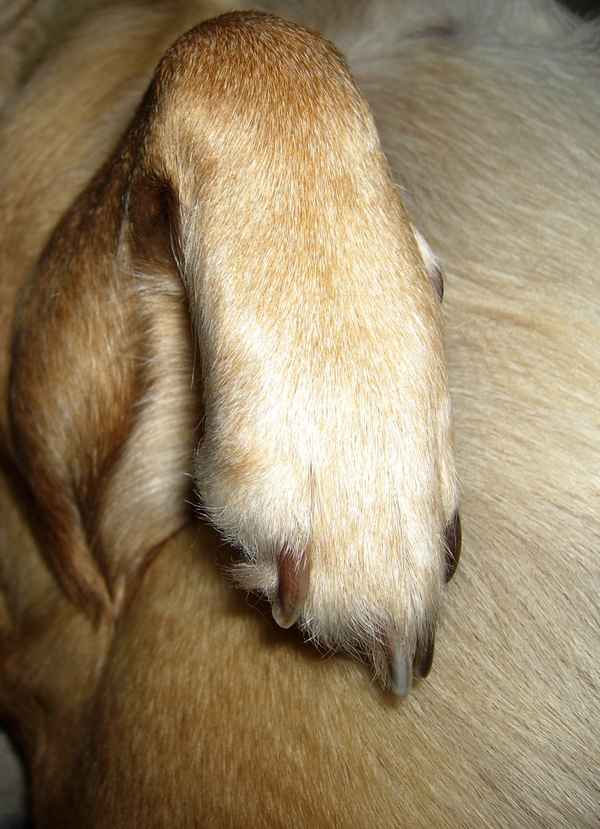Küss die Hand ;O)