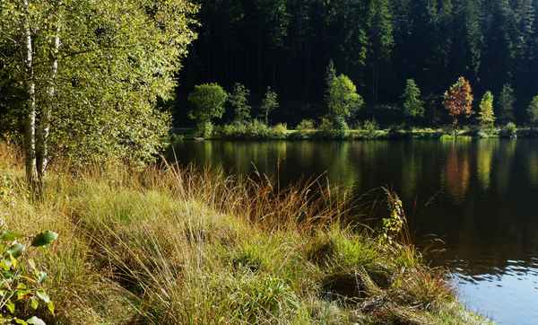 Sankenbachsee bei Baiersbronn_1