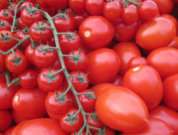Tomaten