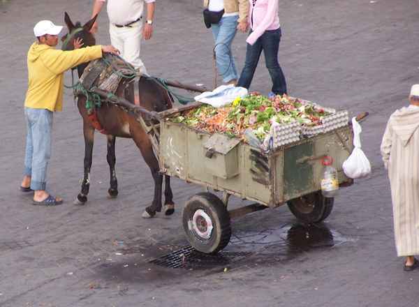 Marrakesch Djemaa: Müllabfuhr