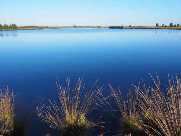 morgen im wietingsmoor