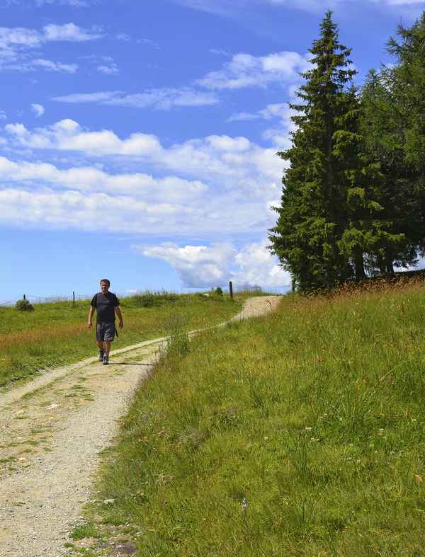 Wanderer beim Wandern, Südtirol, Rodenecker Alm