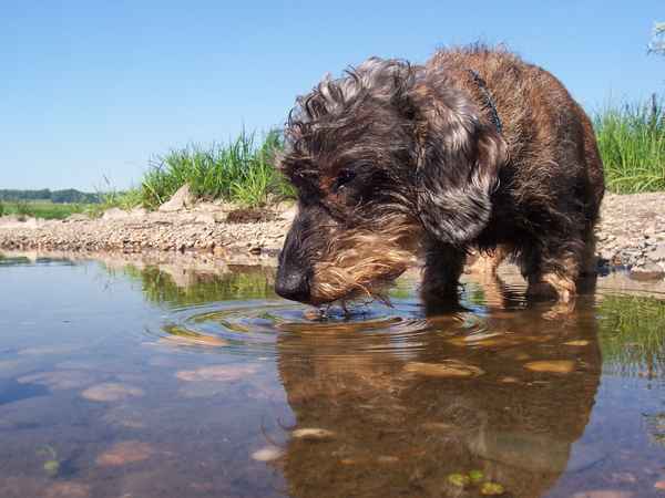So, noch diese kleine Bucht ausgetrunken
