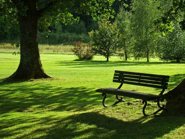 Einladende Ruhebank im Abendlicht