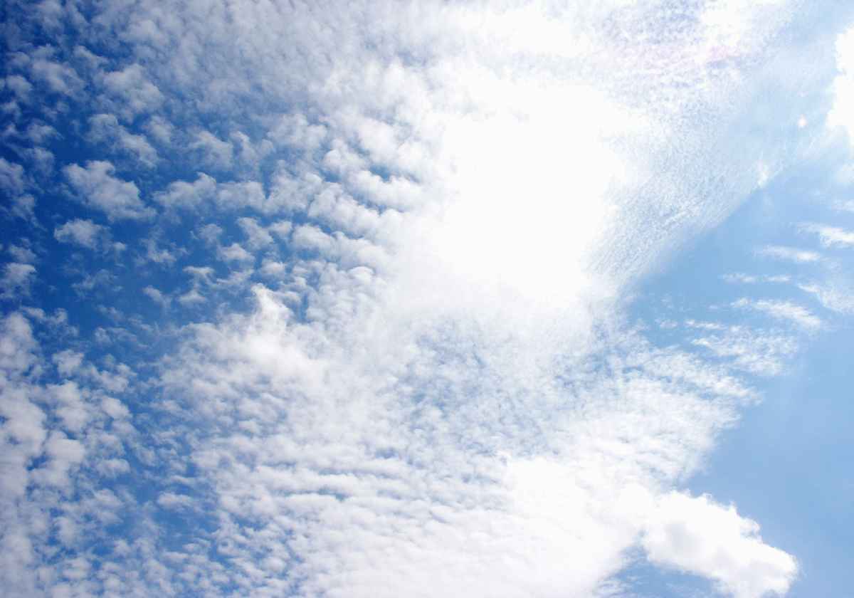 Schäfchenhimmel 2/2