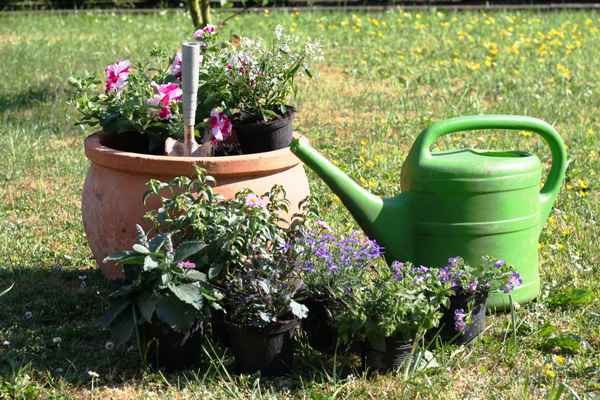 Gärtnern macht Spaß