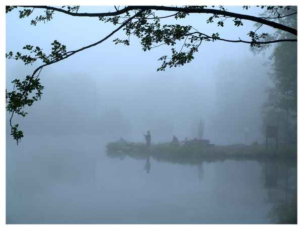 Angler am Aueweiher