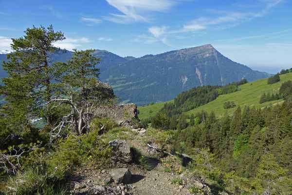 Unterwegs im Bergsturzgebiet Rossberg