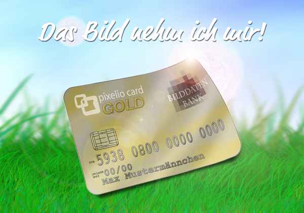 PixelioCard