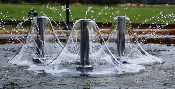 Wasserglocken