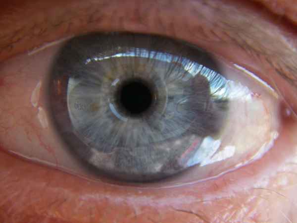 Kamera-Auge - Objektiv oder Subjekt?