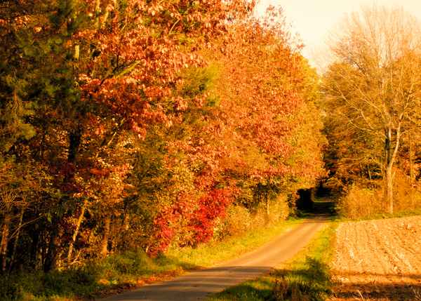 Herbstweg