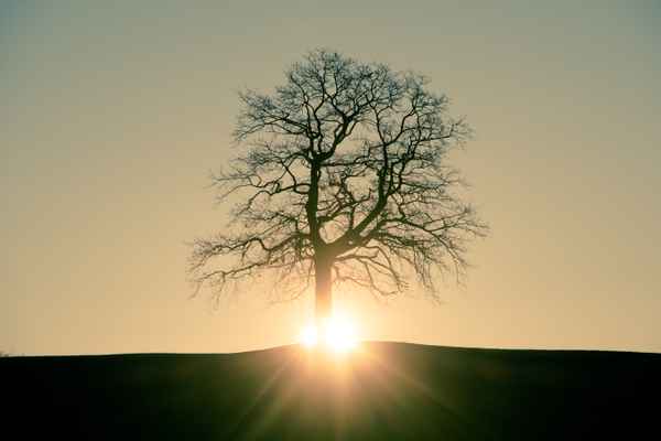 Sonnenaufgang