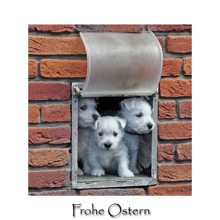 Frohe Ostern