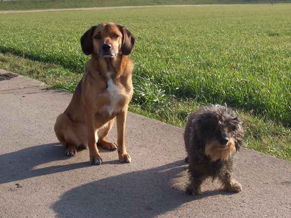 Frauchen wollt ein Foto machen....