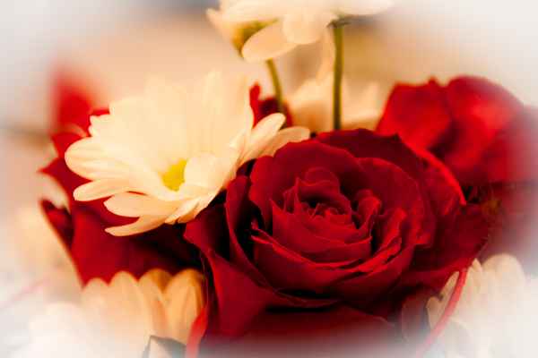 Blumen für Verliebte