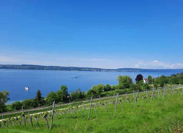 Am Bodensee
