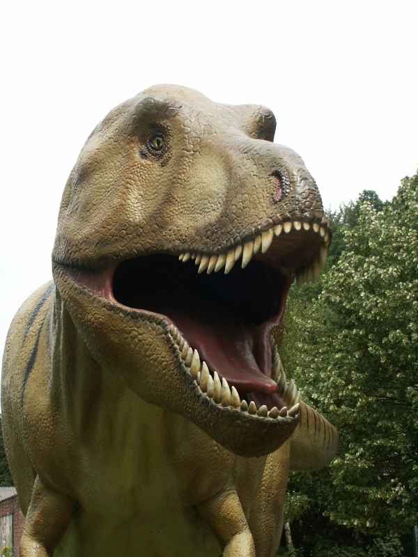Tyrannosaurus Rex