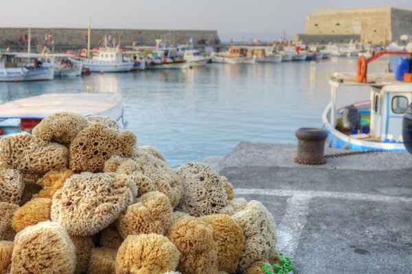 Schwämme im Hafen von Heraklion