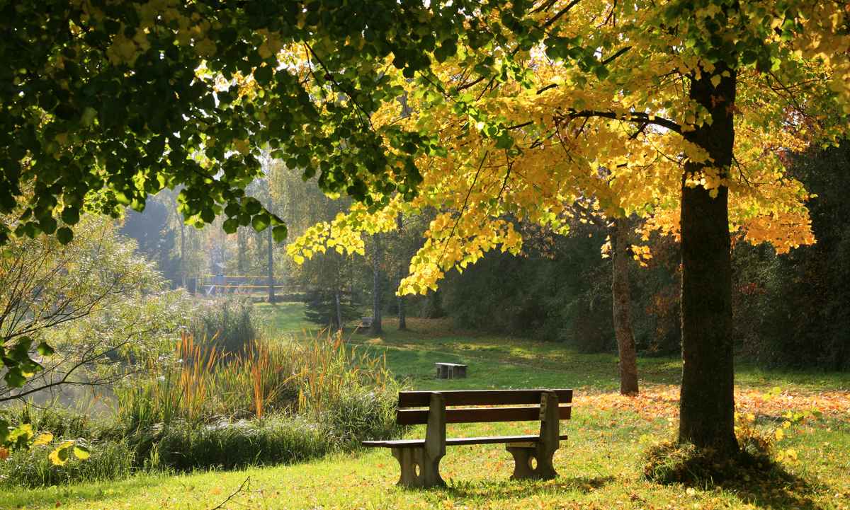 Herbst am Sandbühlsee_5