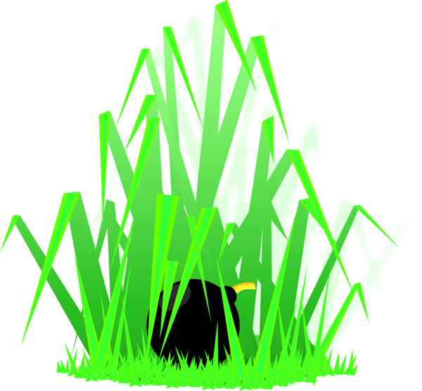 Soll man Gras über eine Sache wachsen lassen?