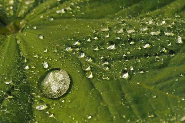 regen kann auch schön sein