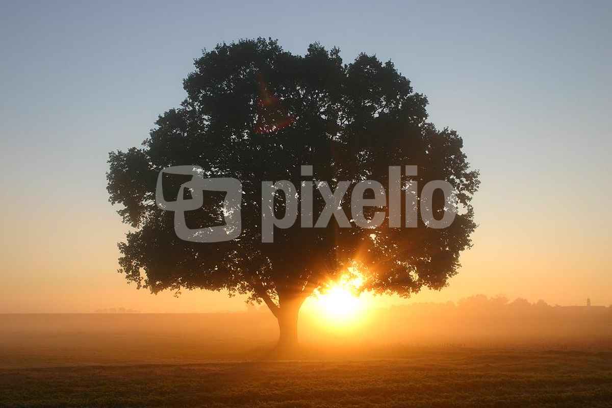 Sonnenaufgang