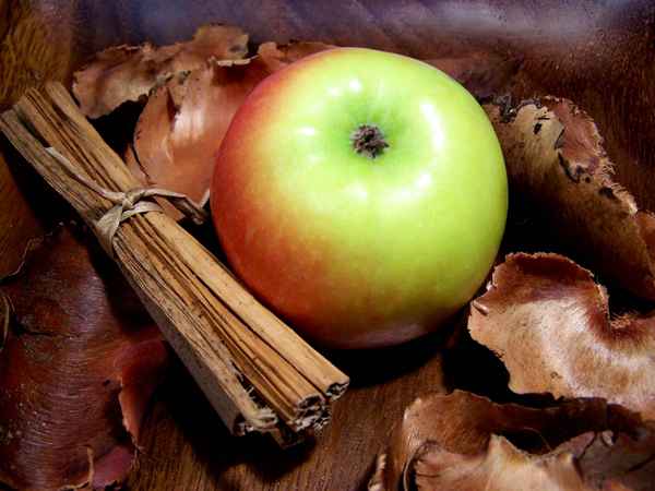 Apfel + Deko