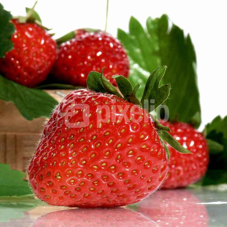 Strawberries (nur redaktionelle Nutzung)