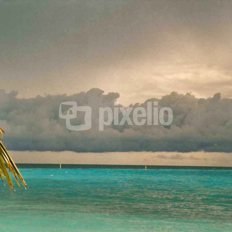 Regen im Paradies