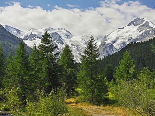Durchs Tal zum Gletscher