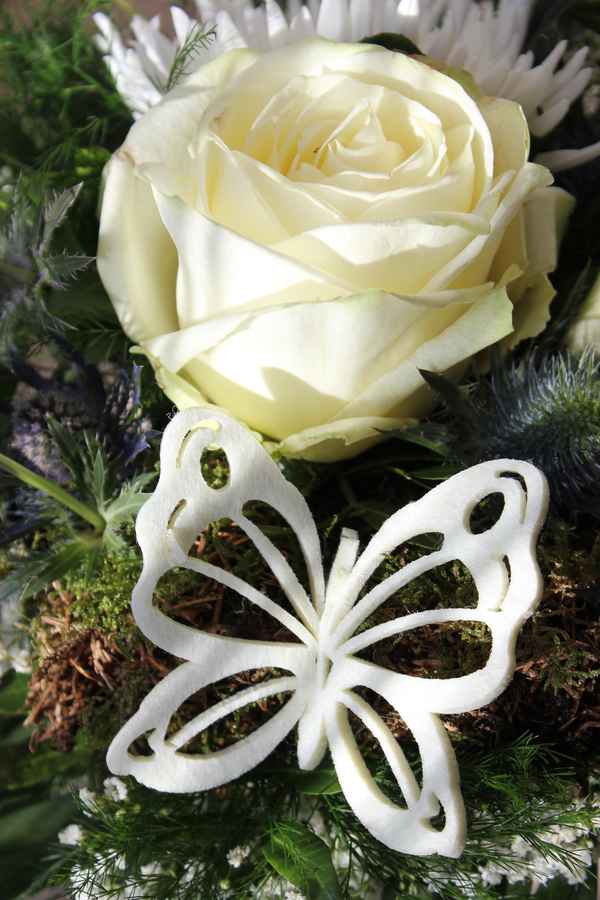 cremefarbene Rose mit Dekoschmetterling
