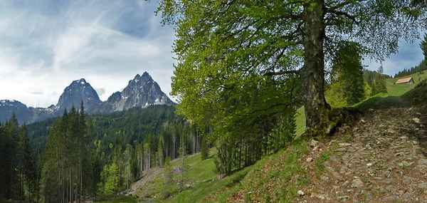 Anspruchsvolle Route