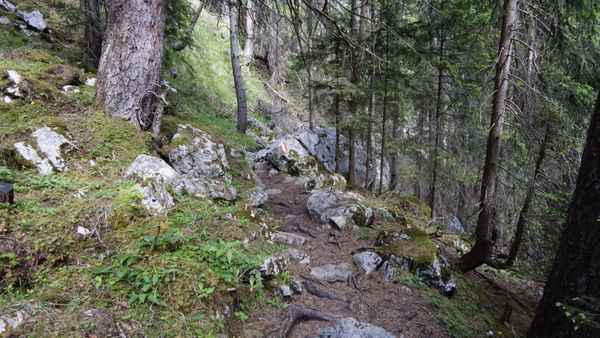Wandern