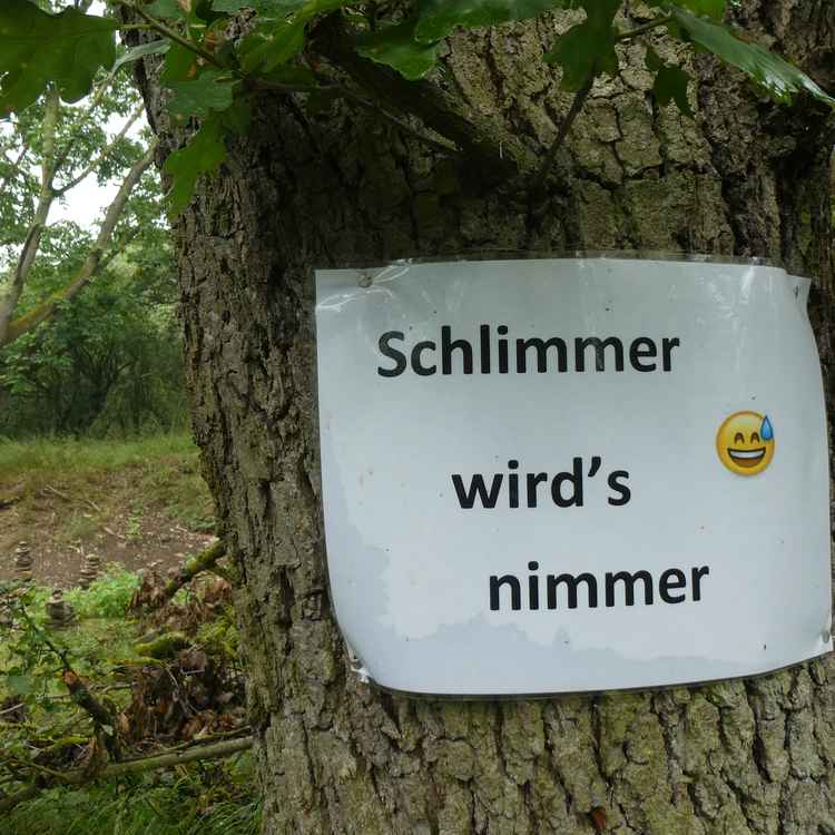Optimismus