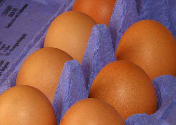 Eier