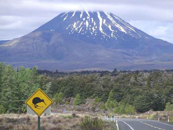 Neuseeland - Berg