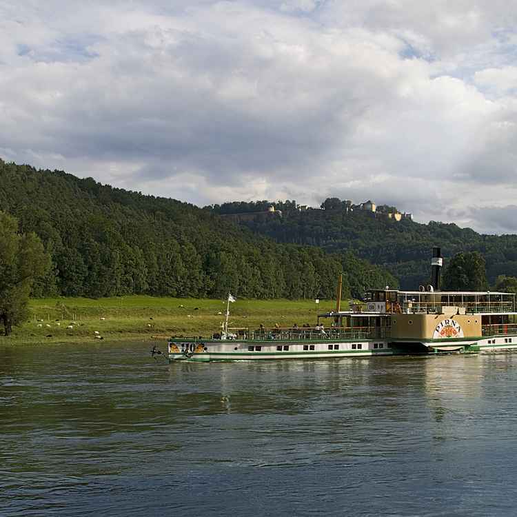 Elbdampfer vor Königstein