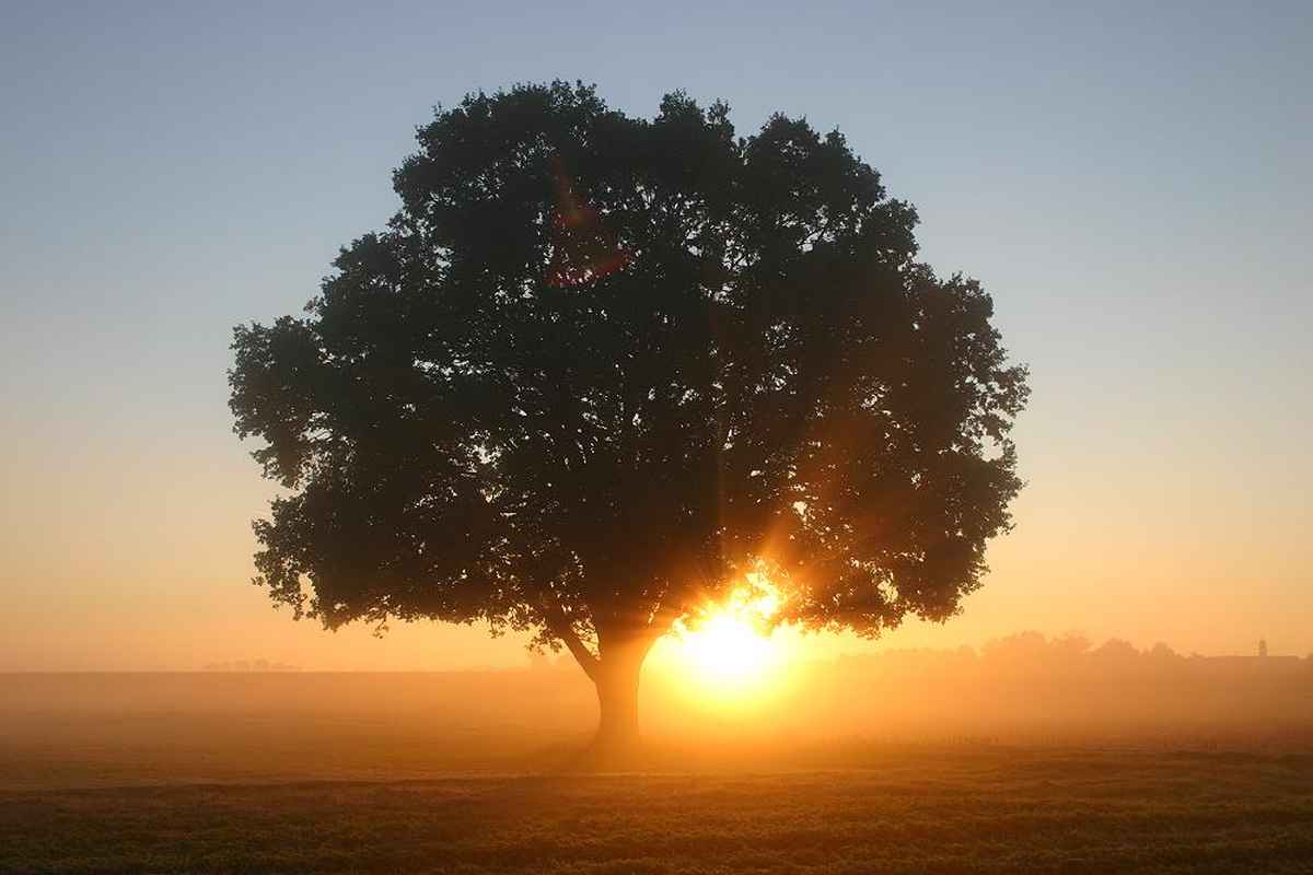 Sonnenaufgang