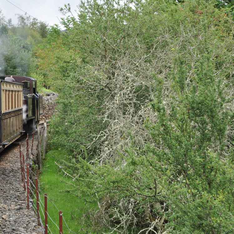 Zug nach Blaneau Ffestiniog, Wales
