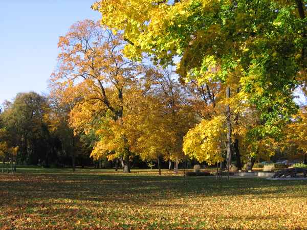 Herbst2005 005