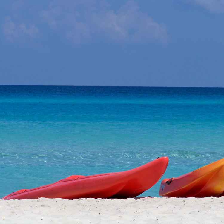 Bild wie aus dem Katalog