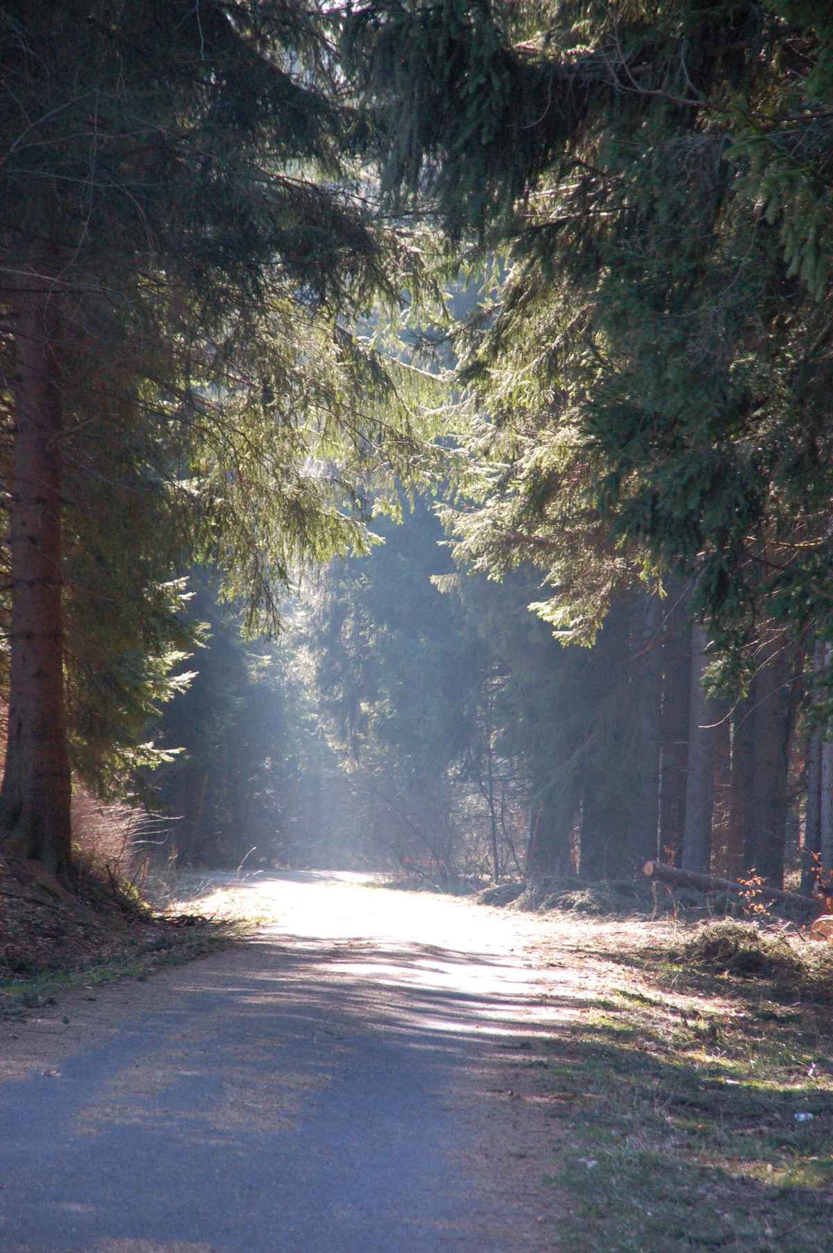 Vom Dunkel ins Licht