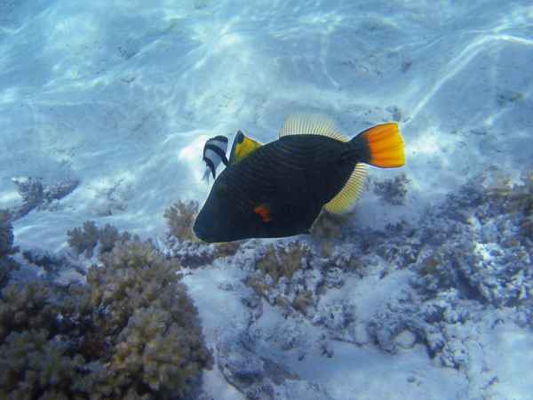 LucB7_IMG_3959