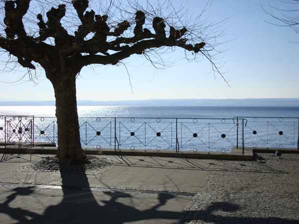 Strandpromenade Meersburg