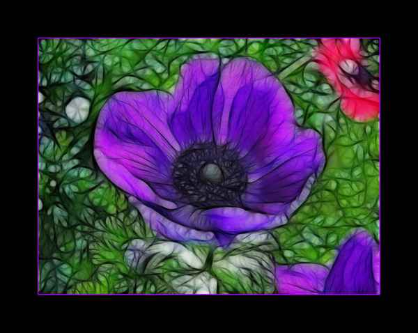 Anemone mal anders...