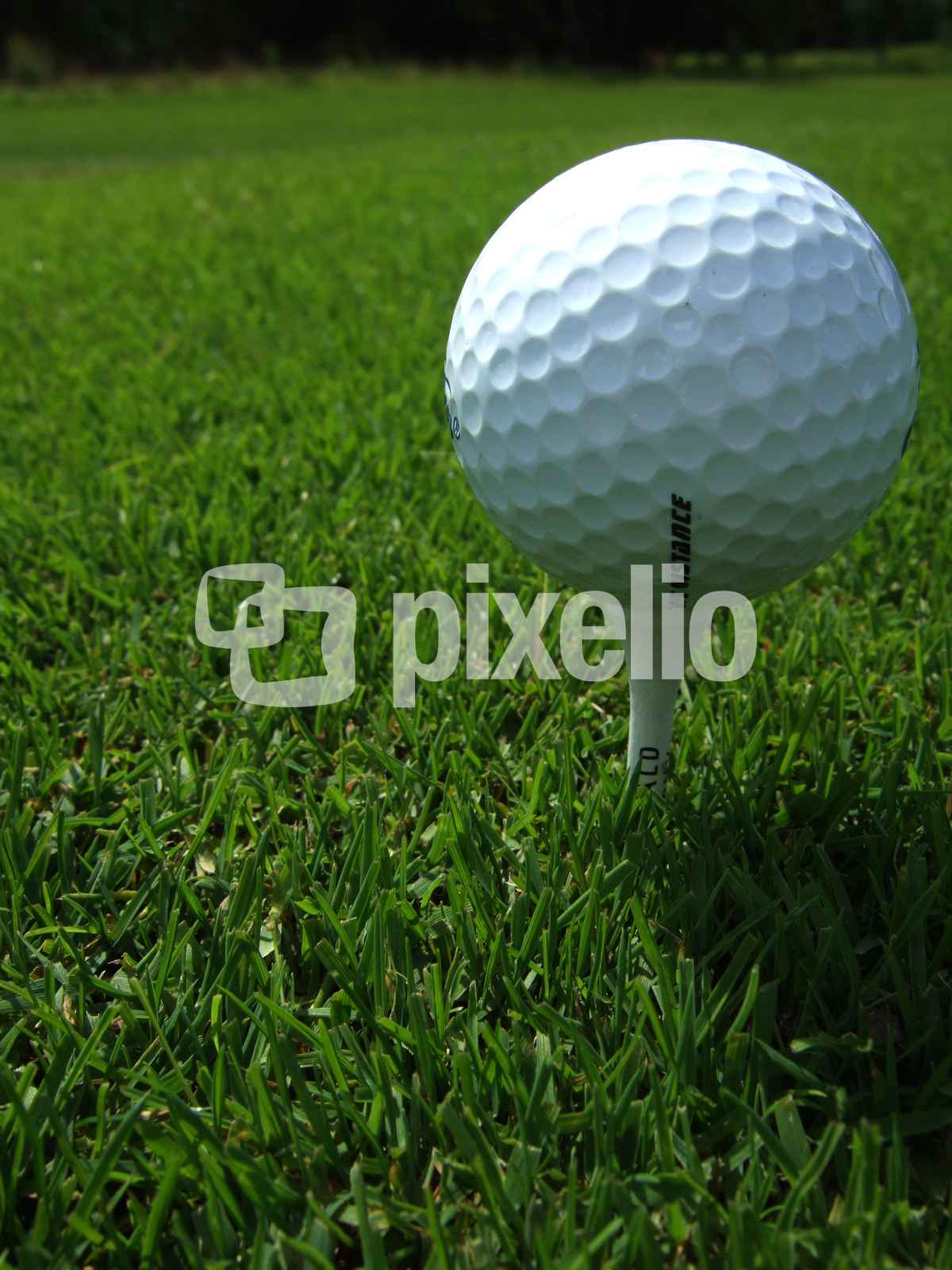 Golfball auf dem Tee
