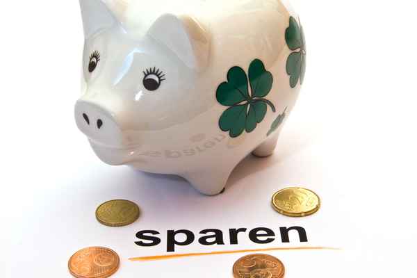 Sparschwein geld euro