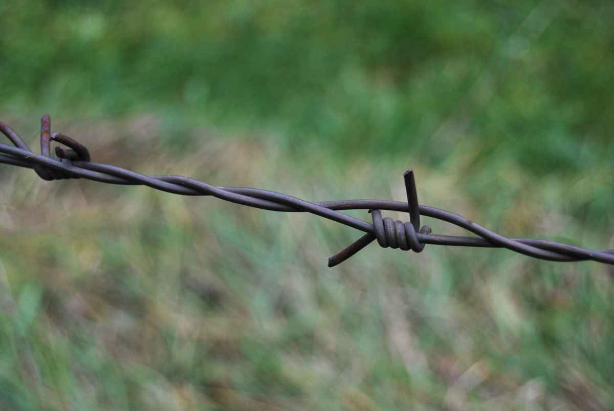 Stacheldraht