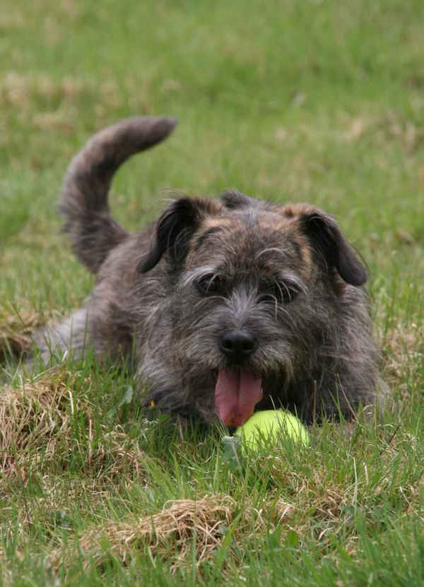 Das ist mein Ball!